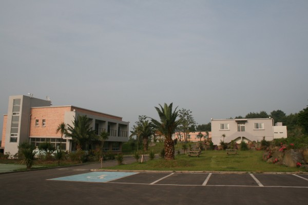 3e56b7fecbe692066c853257c31f161e_1489218