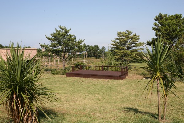 3e56b7fecbe692066c853257c31f161e_1489218