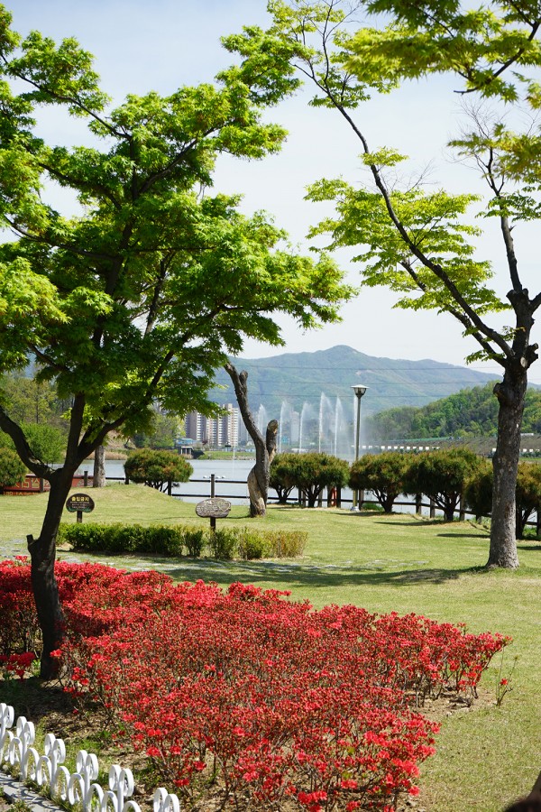 963b9ac7182f15511db4a68c813abaaf_1493211