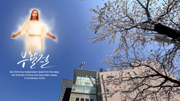 7f3cc9d2f6708846f36cf9592ce3f504_1744683